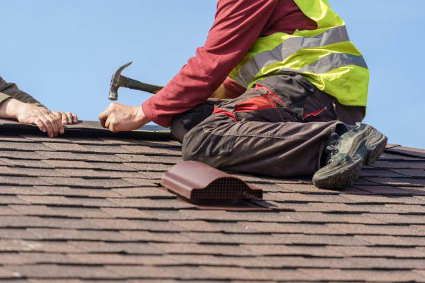 Best Roof Gutter Cleaning  in Hemlock, MI
