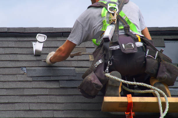 Best Local Roofing Companies  in Hemlock, MI