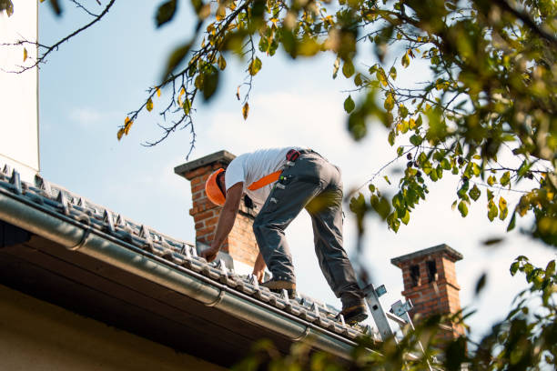 Best Storm Damage Roof Repair  in Hemlock, MI