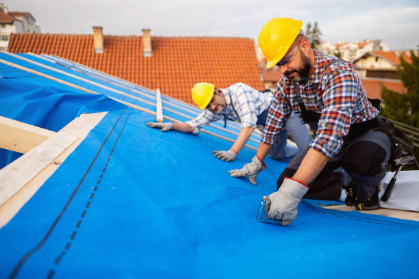 Best Best Roofing Contractors  in Hemlock, MI