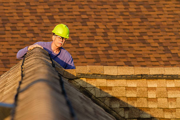 Best Roofing Contractor Near Me  in Hemlock, MI