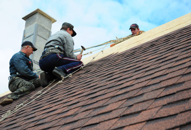 Best New Roof Installation  in Hemlock, MI
