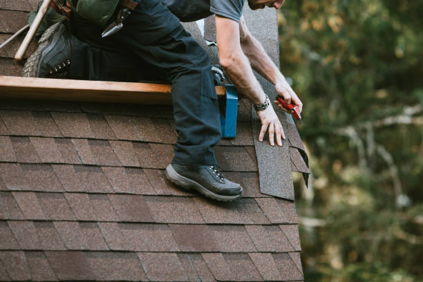 Best Roof Waterproofing Services  in Hemlock, MI